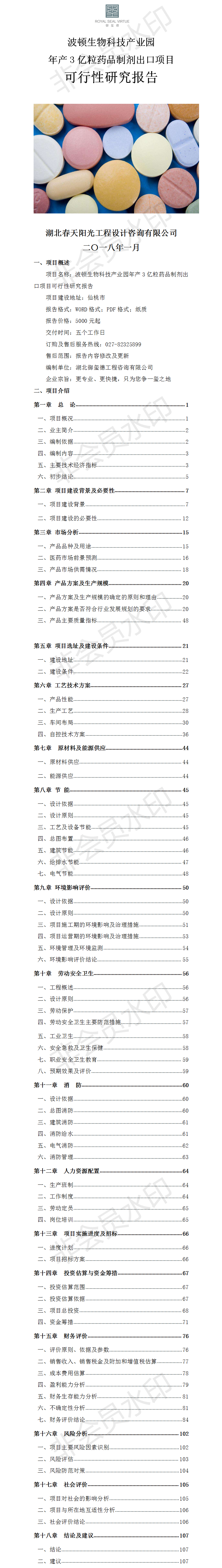 年產(chǎn)3億粒藥品制劑出口項(xiàng)目可行性研究報(bào)告 - 副本.png